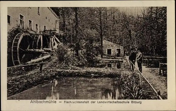 Ak Bitburg in der Eifel, Ahlbachmühle, Fischzuchtanstalt der Landwirtschaftsschule