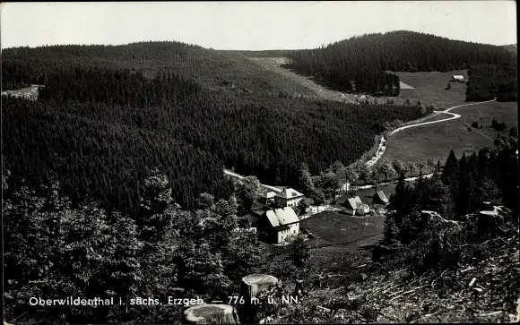 Ak Oberwildenthal Eibenstock, Panorama