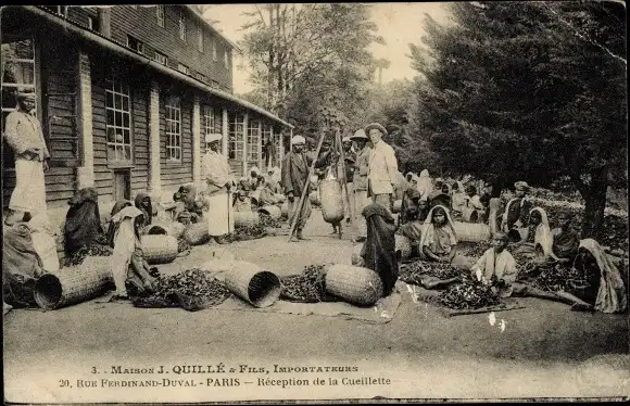 Ak Maison J. Quillé et Fils, Importeurs, Paris Rue Ferdinand Duval 20, Réception de la Cueillette