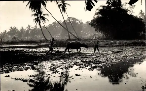Foto Ak Peschawar Pakistan, Bauern, Pflug