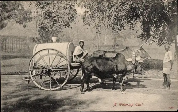 Ak Ceylon Sri Lanka, Wasserkarren mit Rindergespann