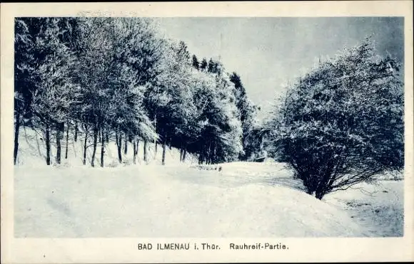 Ak Ilmenau in Thüringen, Weg im Rauhreif, Winter