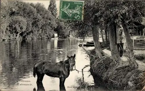 Ak Villennes sur Seine Yvelines, L'Abreuvoir, cheval