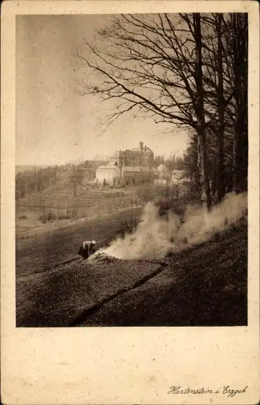 Ak Hartenstein im Erzgebirge Sachsen, Panorama