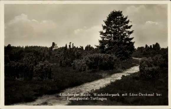 Ak Lüneburger Heide, Wacholderpark, Löns-Denkmal, Fallingbostel,Tietlingen