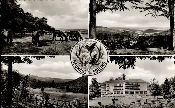 Ak Neuhaus im Solling Holzminden Niedersachsen, Wappen, Teilansichten, Panorama