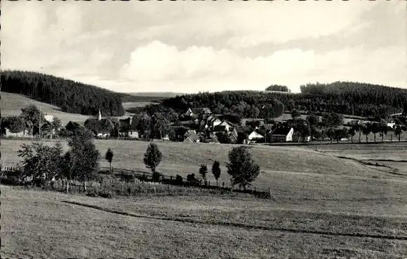 Ak Buntenbock Clausthal Zellerfeld Oberharz, Teilansicht, Panorama