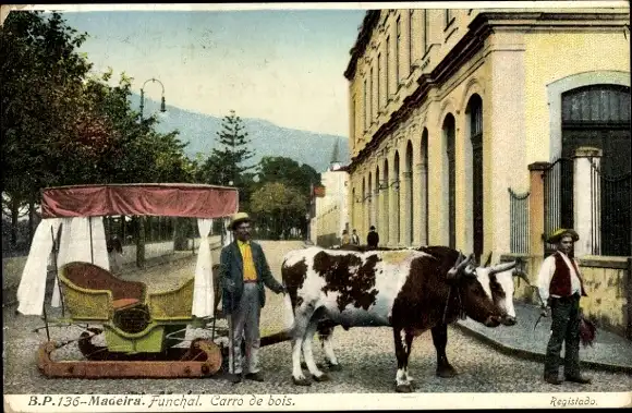Ak Funchal Insel Madeira Portugal, Carro de bois