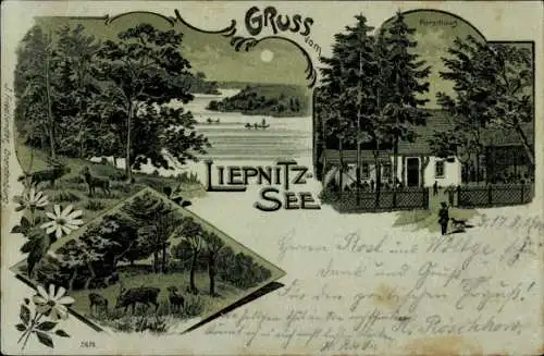 Mondschein Litho Liepnitz Bernau bei Berlin, Liepnitzsee, Forsthaus, Wild