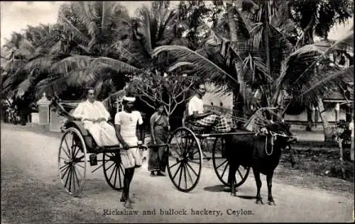 Ak Ceylon, Rickshaw and bullock Hackery, Palms