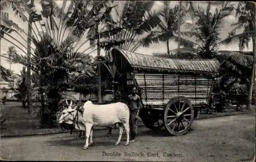Ak Ceylon Sri Lanka, Karren mit Rindergespann