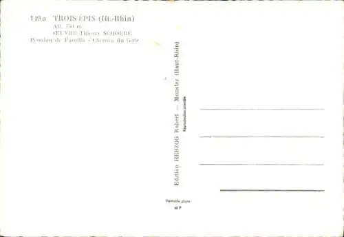 Ak Trois Épis Drei Ähren Elsass Haut Rhin, Pension de Famille