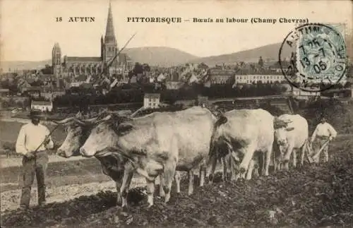 Ak Autun Saône-et-Loire, Ochsenpflug