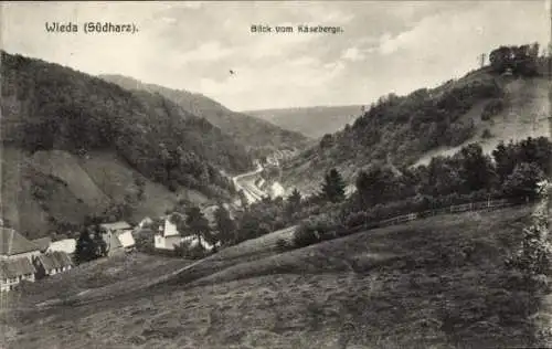 Ak Wieda Walkenried Harz, Panorama, Blick vom Käseberge