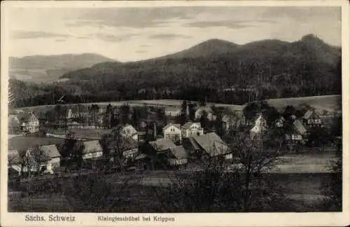 Ak Kleingießhübel Reinhardtsdorf Schöna in Sachsen, Panorama