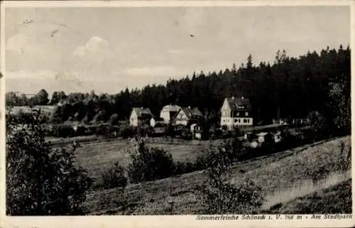 Ak Schöneck im Vogtland, Am Stadtpark, Teilansicht