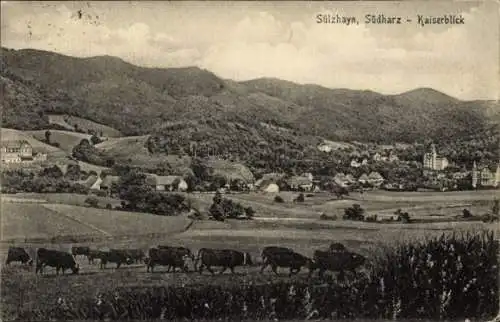 Ak Sülzhayn Ellrich Thüringen, Südharz, Kaiserblick