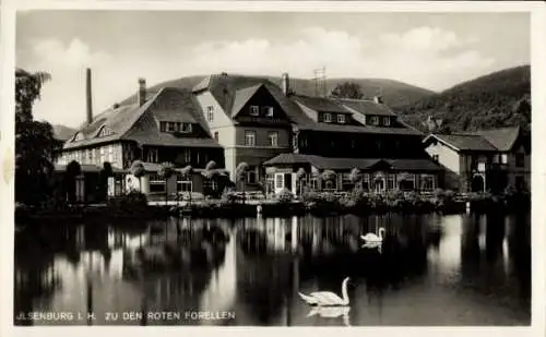 Ak Ilsenburg im Harz, Gasthaus zu den roten Forellen, Schwäne