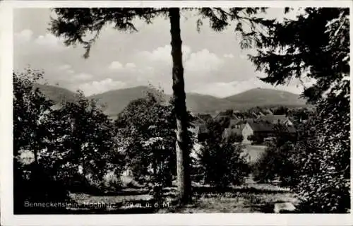 Ak Benneckenstein Oberharz, Panorama