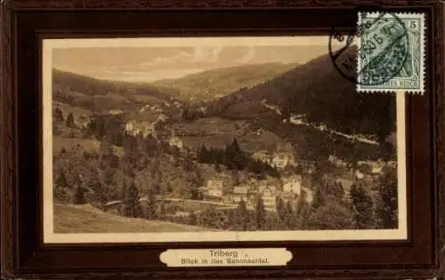 Ak Triberg im Schwarzwald, Blick ins Schonachtal, Panorama