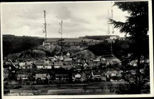 Ak Wippra Sangerhausen am Harz, Panorama