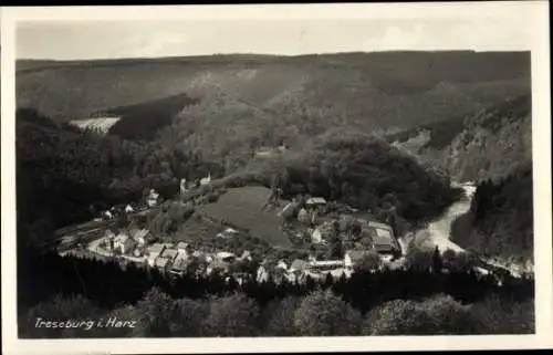 Ak Treseburg Thale im Harz, Blick auf den Ort von einem Berg aus