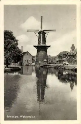 Ak Schiedam Südholland Niederlande, Walvismolen