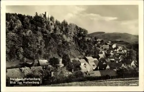 Ak Steinbach Hallenberg im Thüringer Wald, Teilansicht