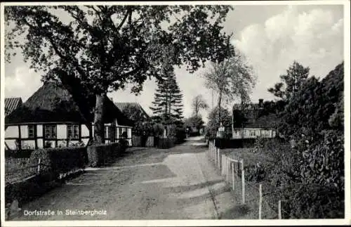 Ak Steinbergholz Steinberg in Angeln, Dorfstraße, Fachwerkhaus