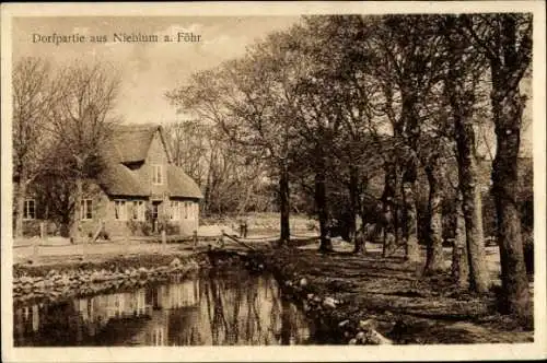 Ak Nieblum auf Föhr, Dorfpartie mit Landhaus