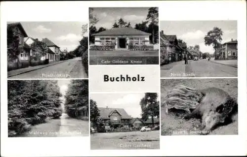 Ak Buchholz in der Nordheide, Café Goldene Krone, Wildsau mit Frischlingen, Cohrs Gasthaus
