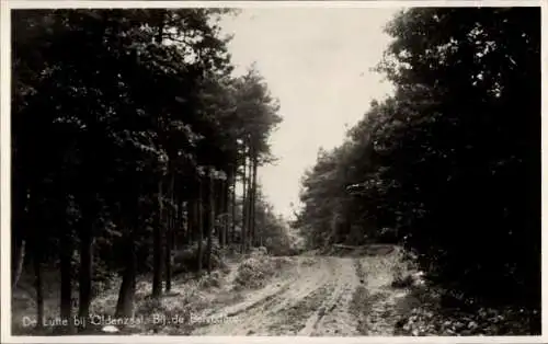 Ak De Lutte Overijssel, Bij de Bevedere