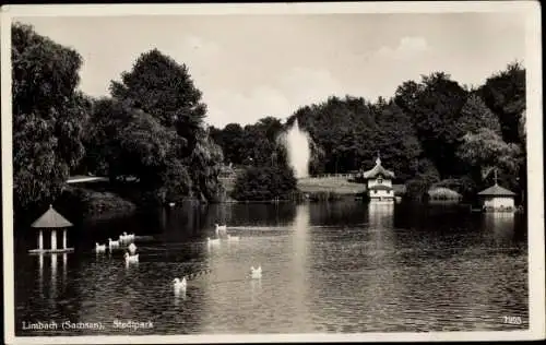 Ak Limbach in Sachsen, Stadtpark