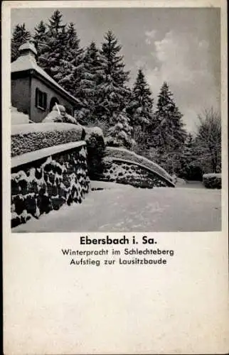 Ak Ebersbach in Sachsen Oberlausitz, Schlechteberg, Aufstieg zur Lausitzbaude