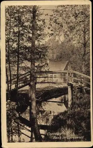 Ak Cottbus in der Niederlausitz, Bank im Spreewald, Brücke