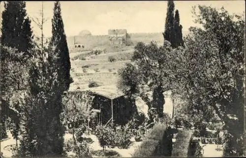 Ak Jerusalem Israel, Gethsemane