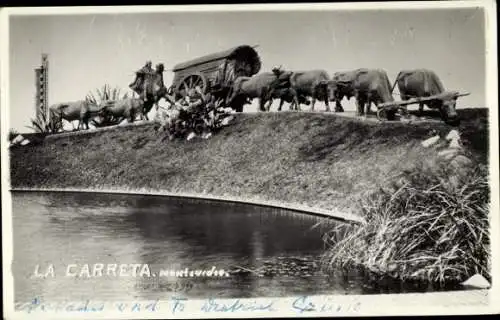 Ak La Carreta, Rinder ziehen Planwagen