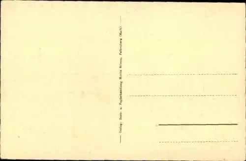 Ak Falkenberg in der Mark, Gesamtansicht