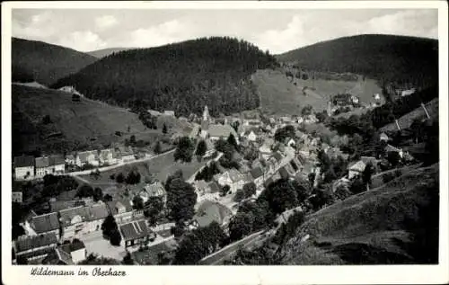 Ak Wildemann Clausthal Zellerfeld im Oberharz, Panorama