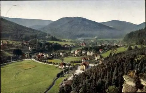 Ak Bad Herrenalb im Schwarzwald, Blick vom Falkenstein, Panorama