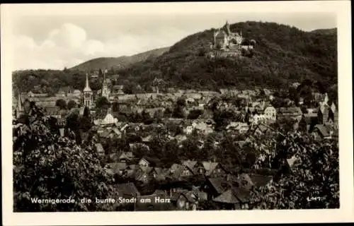 Ak Wernigerode im Harz, Panorama