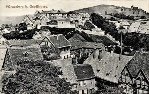 Ak Münzenberg Quedlinburg im Harz, Gesamtansicht