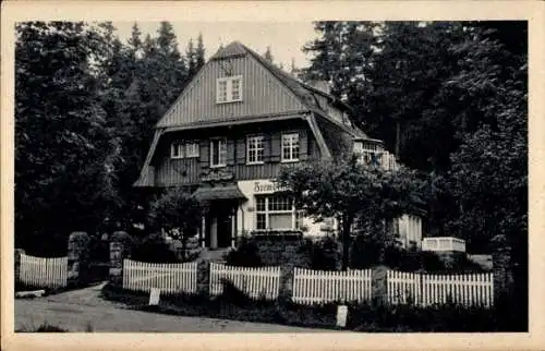 Ak Schierke Wernigerode im Harz, Waidhof