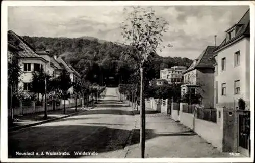 Ak Neustadt an der Weinstraße, Waldstraße
