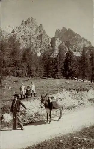 Ak Ampezzo Friuli Venezia Giulia Italien, Tre Croci mit Monte Cristallo und Piz Popena, Esel