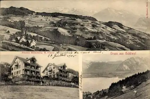 Ak Goldiwil Thun Kanton Bern Schweiz, Gesamtansicht, Pension Blümlisalp