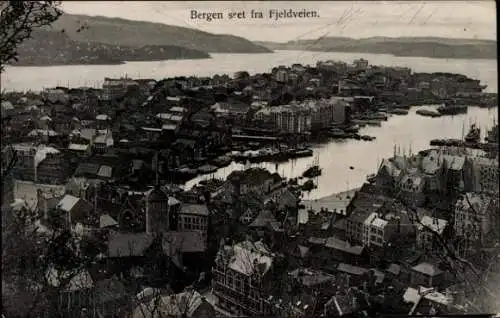 Ak Bergen Norwegen, Panorama