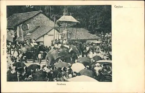 Ak Colombo Ceylon Sri Lanka, Perahara, Elefant