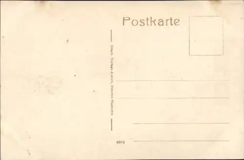 Ak Ilmenau in Thüringen, Goethestraße, Villen