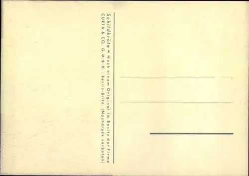 Künstler Ak Wendt, Schildkröten